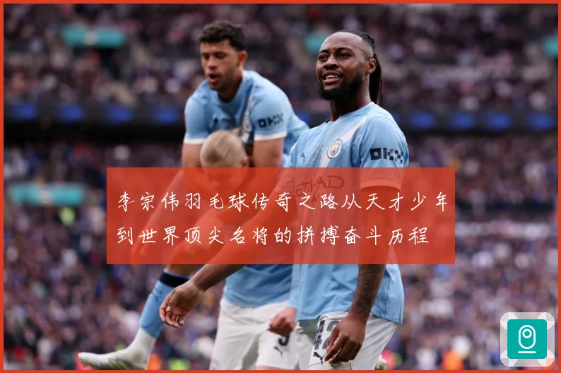 李宗伟羽毛球传奇之路从天才少年到世界顶尖名将的拼搏奋斗历程