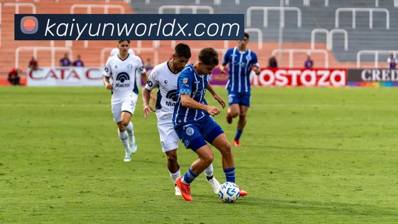 开云平台展示图