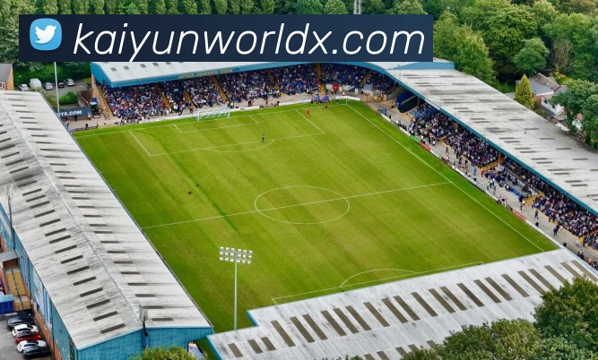 开云体育平台全方位解析助力用户畅享运动体验